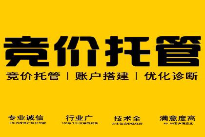 案例分析：竞价推广助力企业快速增长